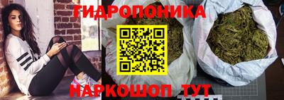 сатива Краснокаменск